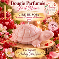 Bougie parfumée fait main senteur pomme d amour