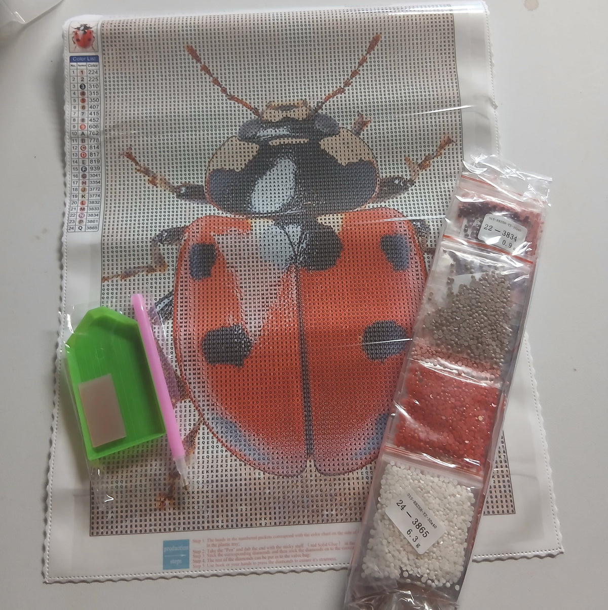 Diamant painting coccinelle kit complet perles rondes