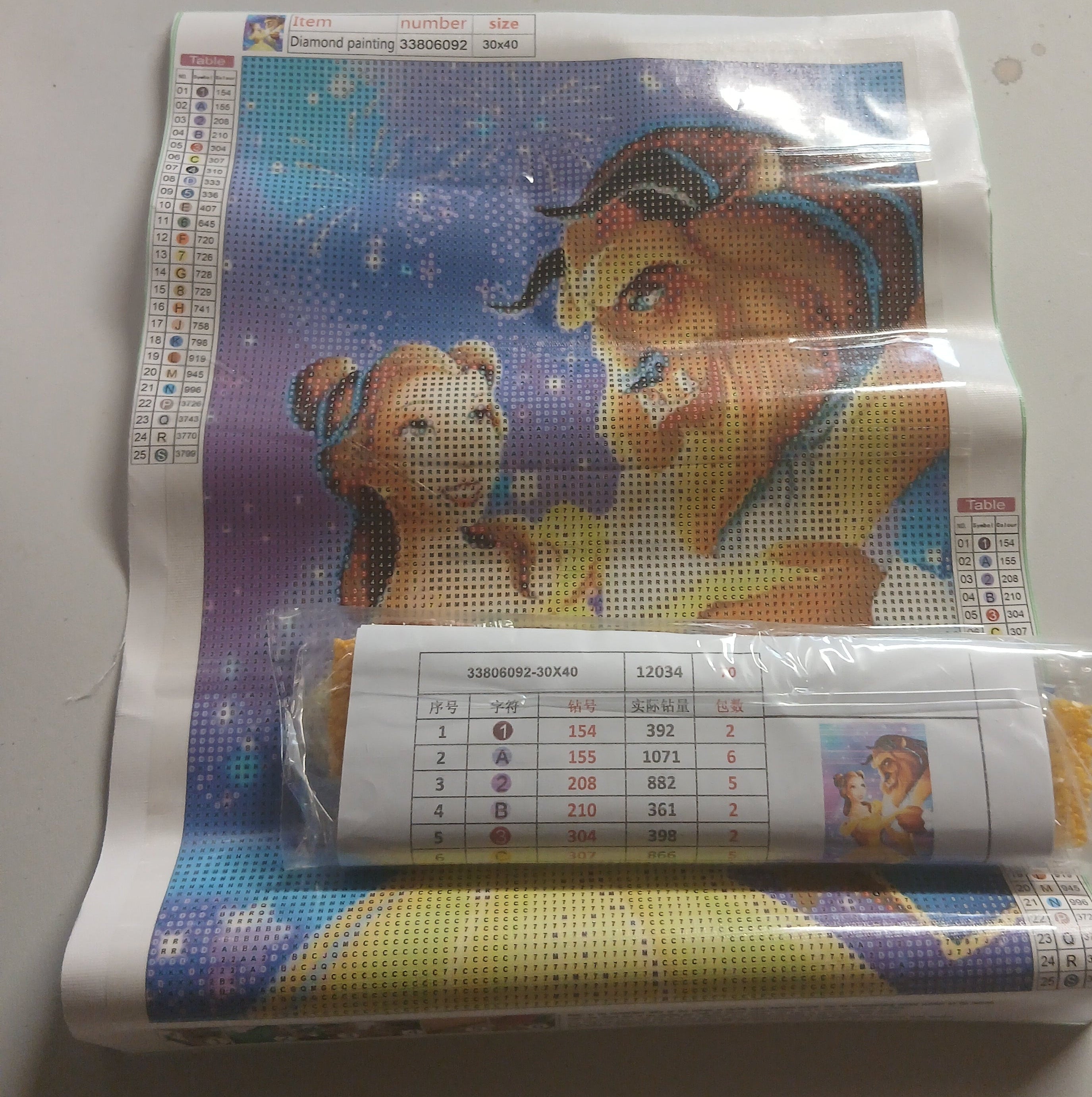 Diamant painting belle&bête kit complet