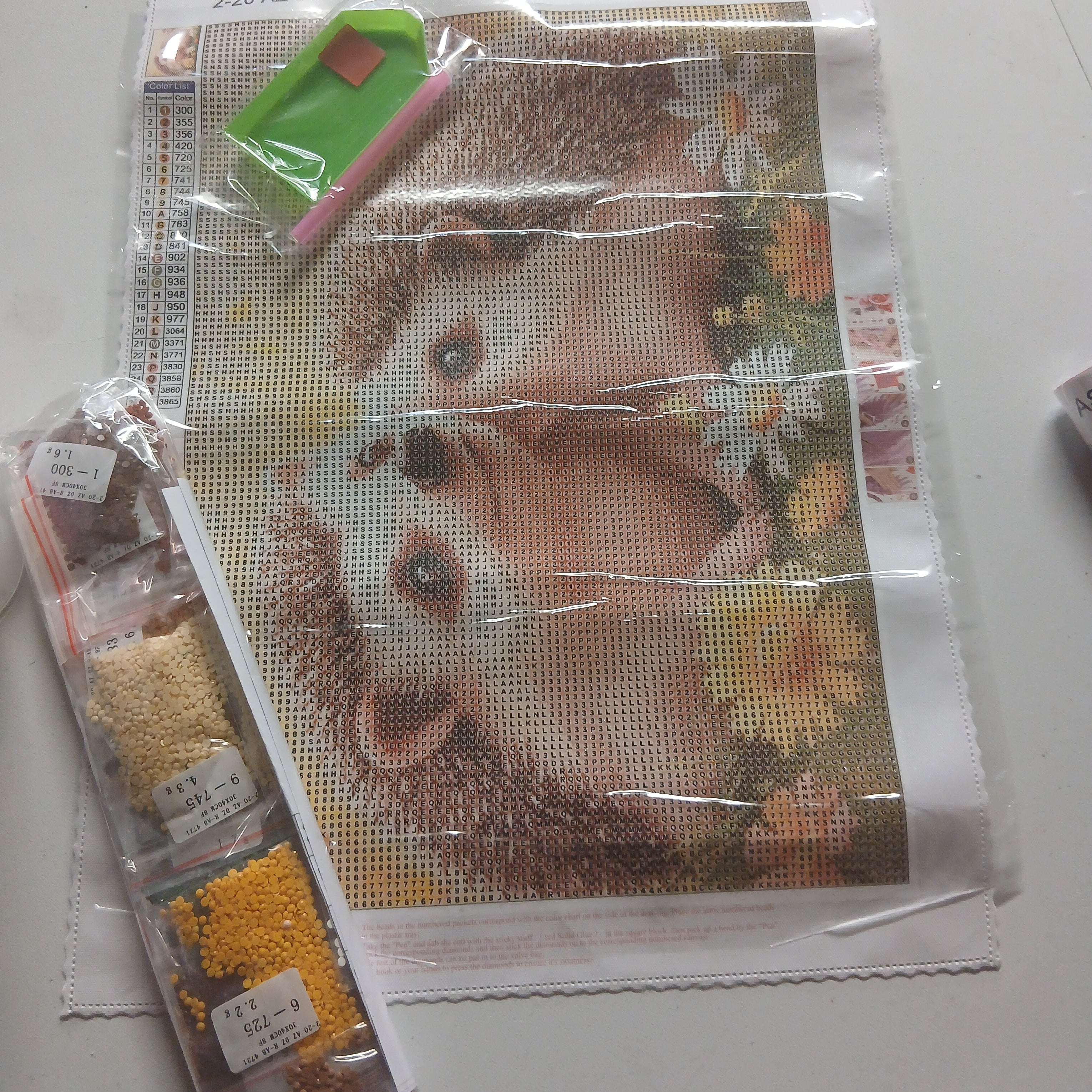 diamant painting hérisson kit complet
