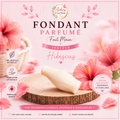 Fondant parfumé fait main senteur hibiscus