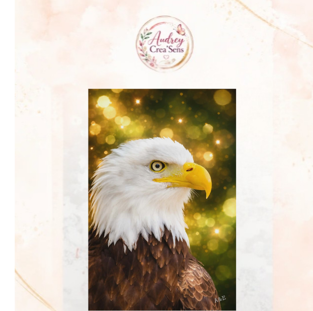 Diamant painting kit complet aigle