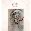 Diamant painting kit complet cheval élégant