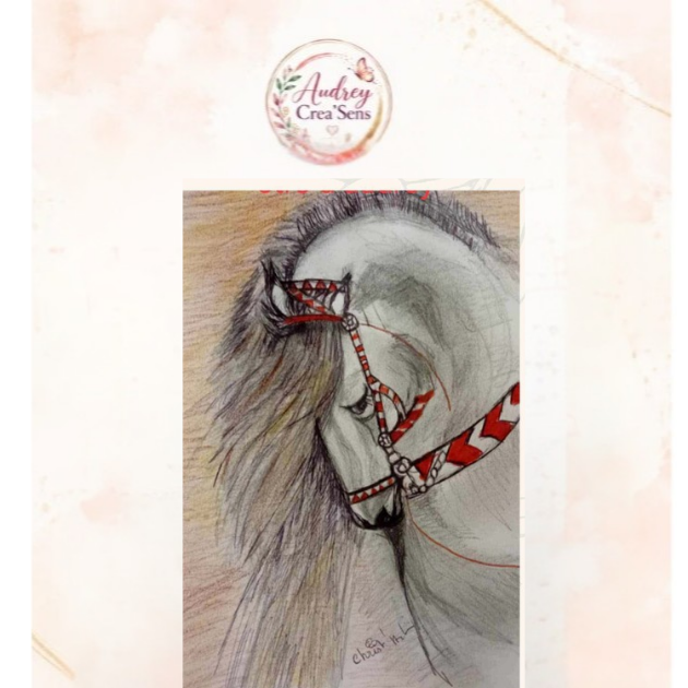 Diamant painting kit complet cheval élégant