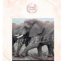 Diamant painting éléphant kit complet