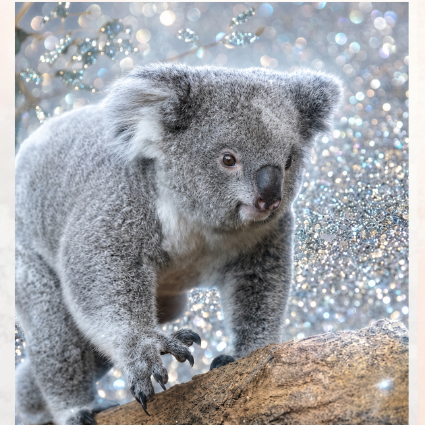 diamant painting koala kit complet
